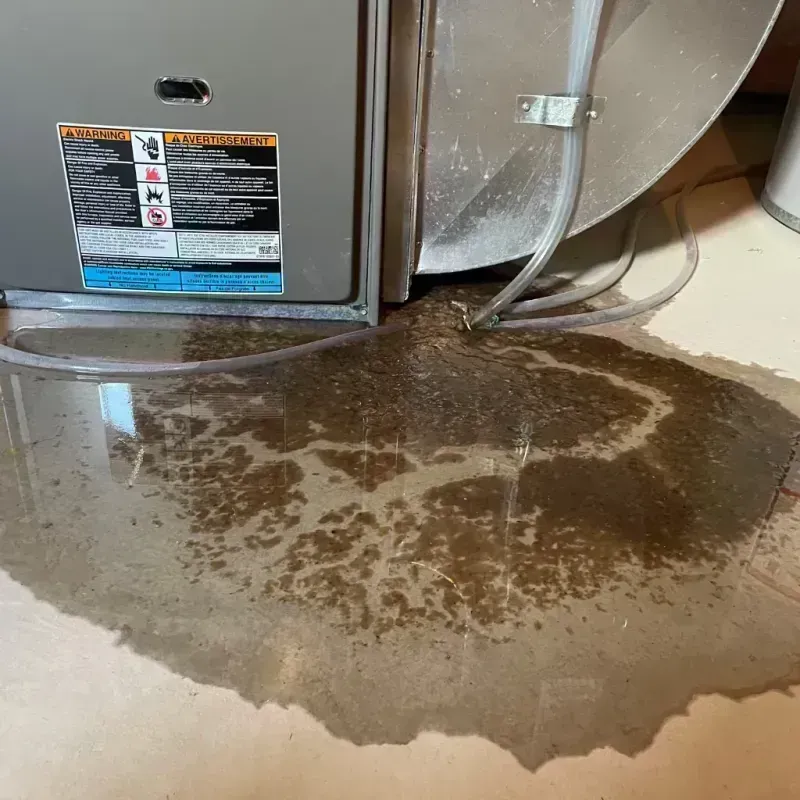 Appliance Leak Cleanup in Carmel, NY